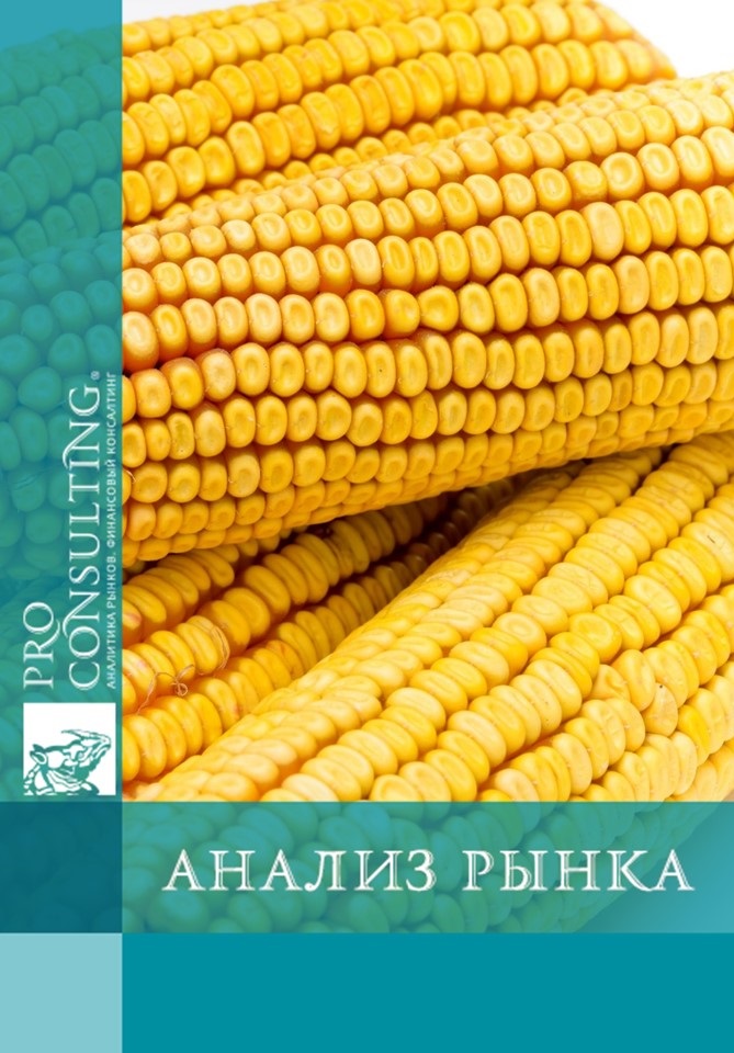 Анализ рынка семян кукурузы в Украине. 2019 год